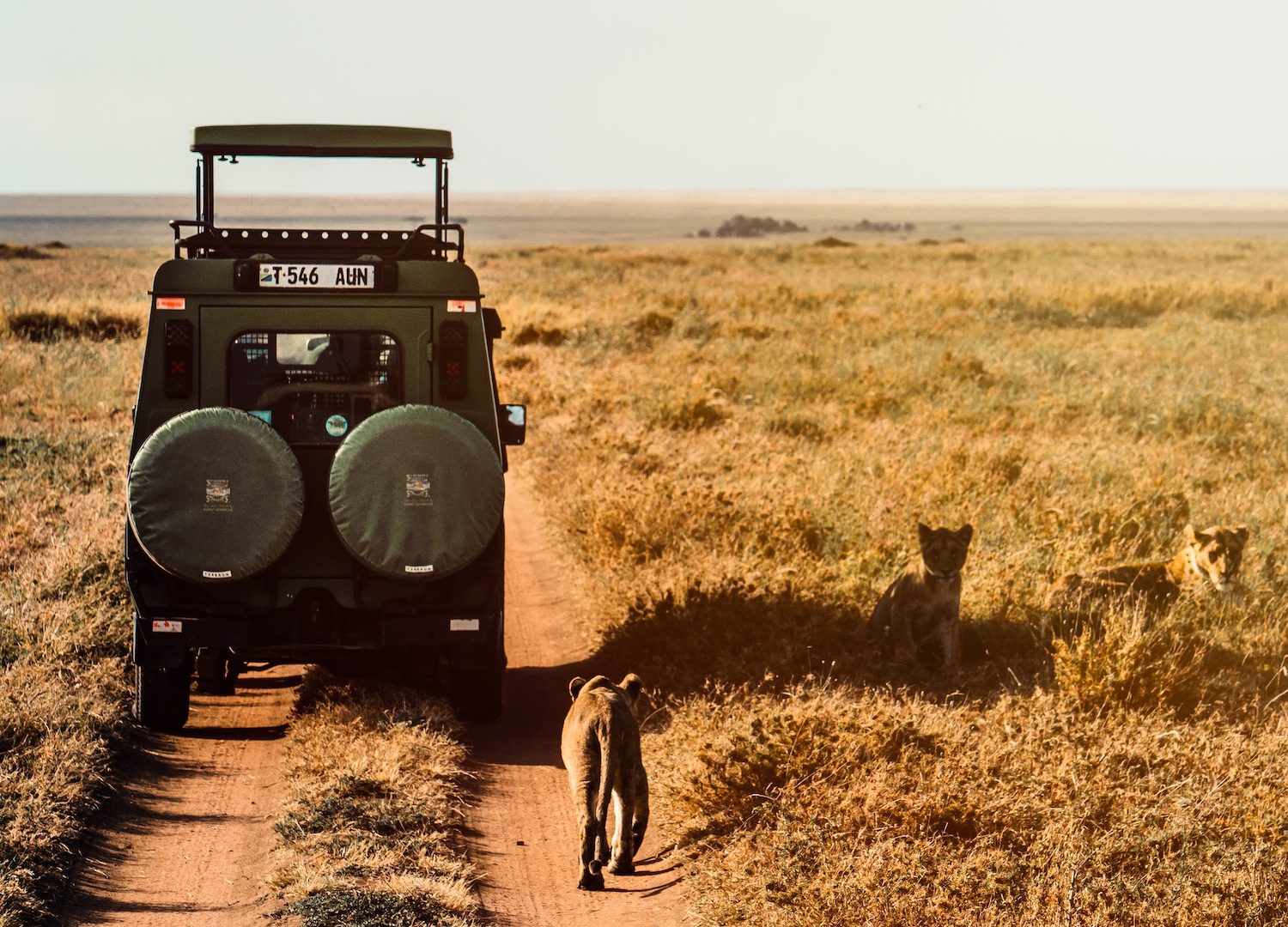 Rhino Trekking Tour